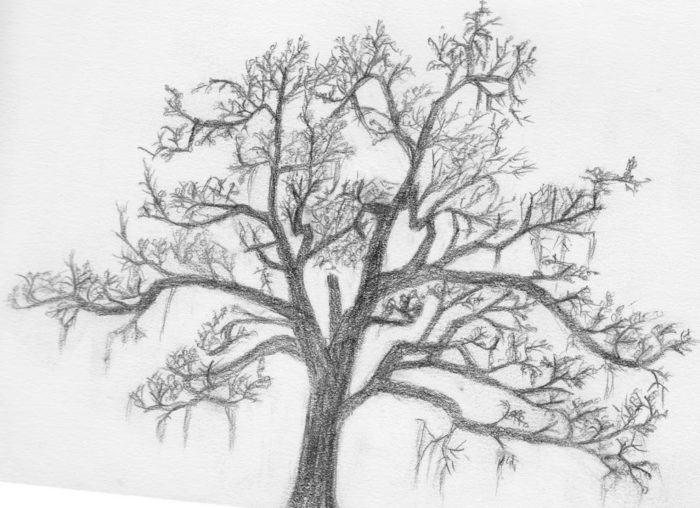 Trees I have Known, Part One