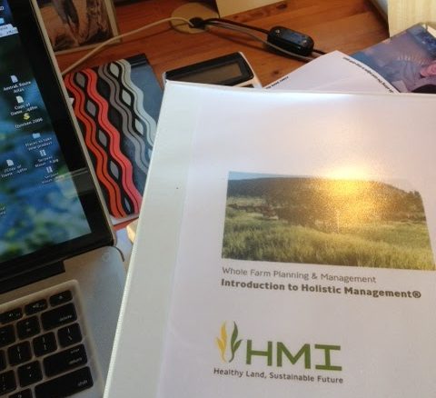 Holistic Management: New Steps