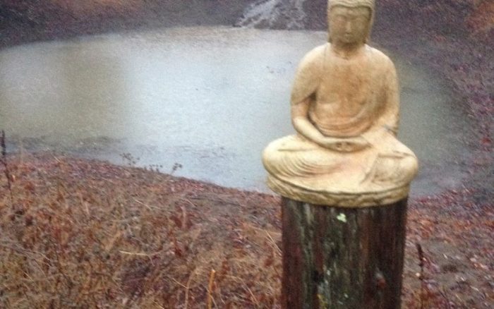 Rainy Day Meditation on Drought